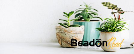 03-04-Beadon-Road-Home-Page-Banner-Artificial-Plants-447x180Px-BD-09